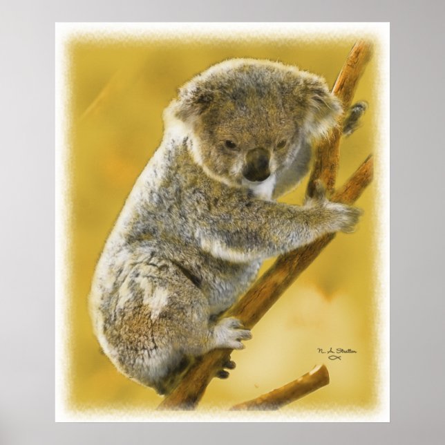 Poster Cute...Koala Bear...Poster et imprimer! (Devant)