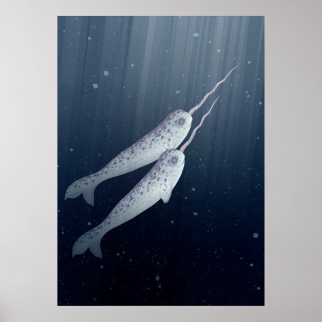 Poster Cute Narwhals Nager Ensemble Sous L'Eau (Devant)