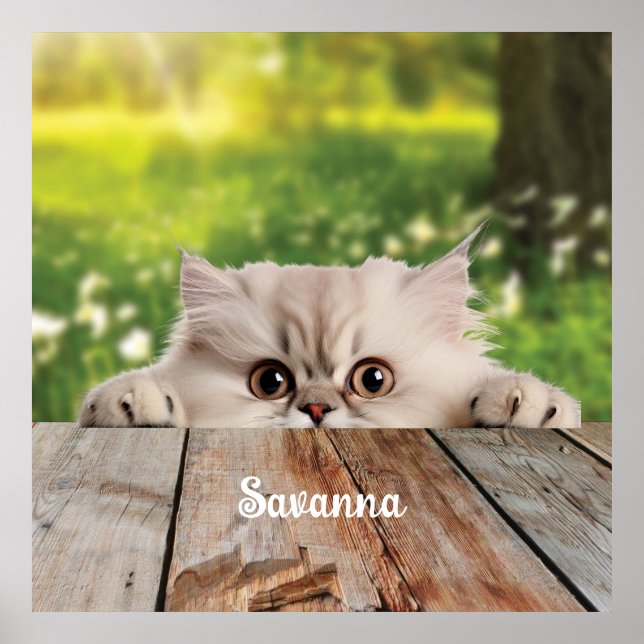 Poster Cute Perse Peeking Chat (Devant)
