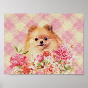 Poster Cute Poméranian German Spitz with Flowers