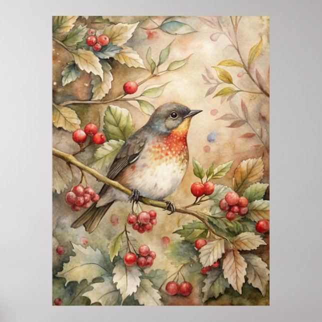 Poster Cute Robin (Devant)