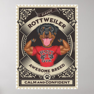 Poster Cute Rottweiler Muscles Flexants