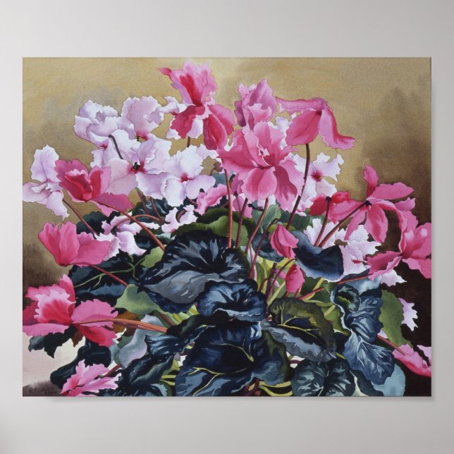 Poster Cyclamen 2004 (Devant)