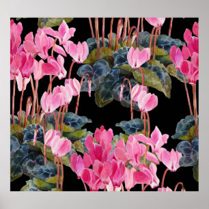 Poster Cyclamen rose : Aquarelle florale foncée