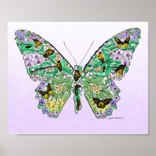 Poster Cycle de vie des papillons