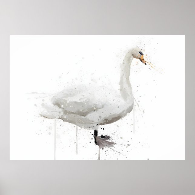 Poster Cygne (Devant)