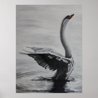 Poster Cygne (côté gauche)