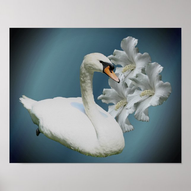 Poster Cygne Et Hibiscus Fleurs Nature Art (Devant)