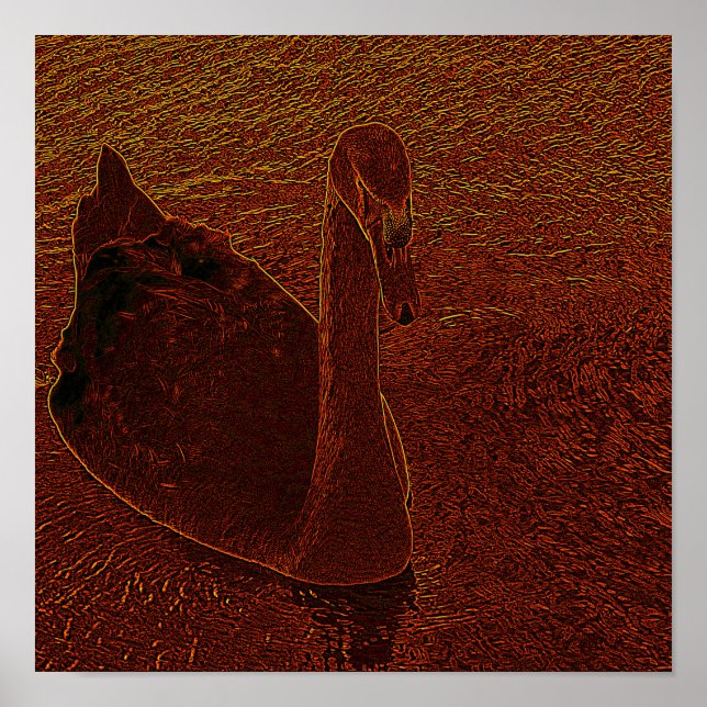 Poster Cygne rouillé (Devant)