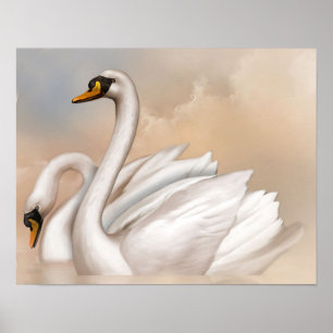 Poster Cygnes dedans sur un lac