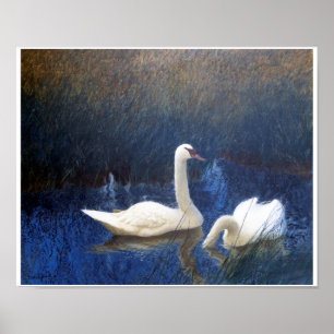 Poster Cygnes en roseaux, Bruno Liljefors