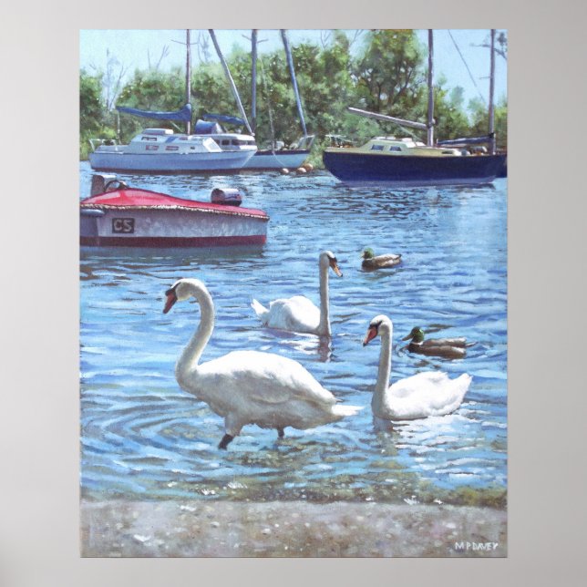 Poster cygnes et bateaux du port de christchurch (Devant)