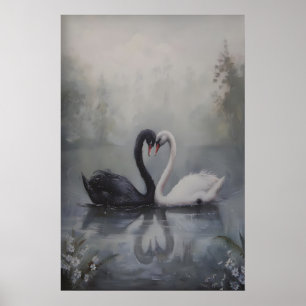 Poster Cygnes noirs et blancs dans un lac brumeux sombre