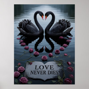 Poster Cygnes noirs romantiques, reflet du cœur avec text