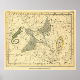 Poster Cygnus, Laceria et Via Lactea