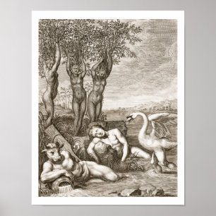 Poster Cygnus Transformé en cygne et site de Phaeton