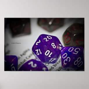 POSTER D20