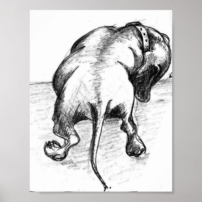 Poster Dachshund (Devant)