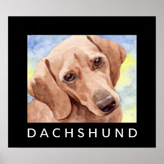 Poster Dachshund
