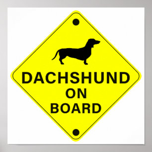 Poster Dachshund à bord Funny Dog Bumper