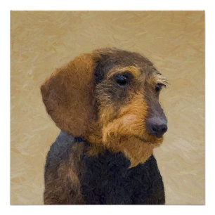 Poster Dachshund (À poils durs) Peinture Chien Art origin