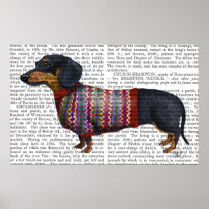 Poster Dachshund Avec Sweat Laineux
