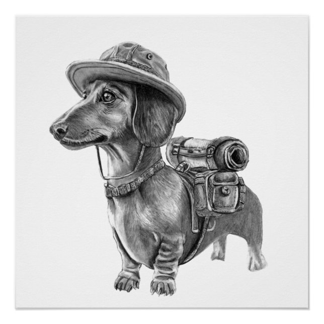 Poster Dachshund aventureux (Devant)