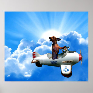 Poster "Dachshund Aviator" de Zermeno