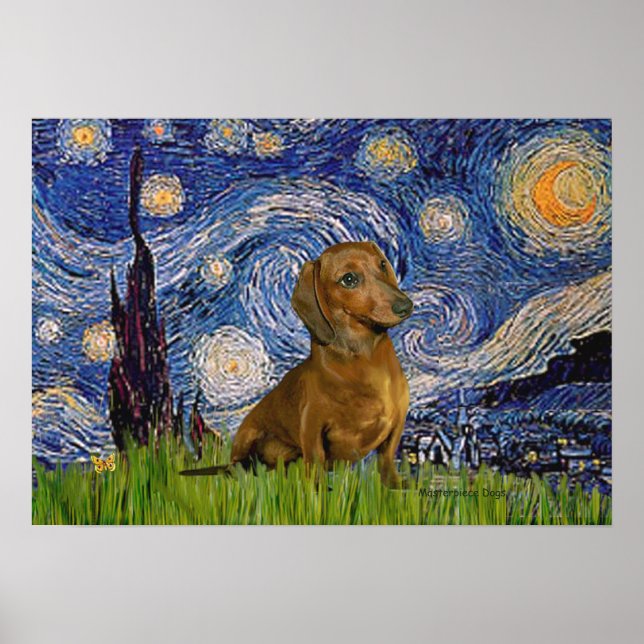 Poster Dachshund (Brown 1) - Nuit étoilée (Devant)