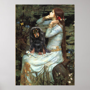 Poster Dachshund (BT aux cheveux longs) - Ophelia assis