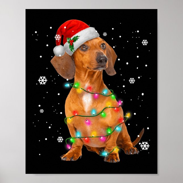 Poster Dachshund Chiens Arbre Noël Noël Noël Cadeaux Pour (Devant)