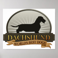 Dachshund [Fil à cheveux]