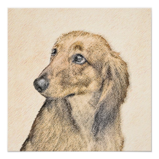 Poster Dachshund (Longhaerien) Peinture - Art Chien origi (Devant)