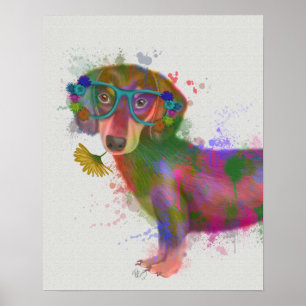 Poster Dachshund & Lunettes Rainbow Splash