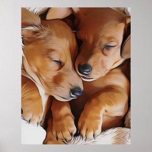 Poster Dachshund mignon Dachshund Chiots Dachshund Annive