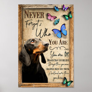 Poster Dachshund N'Oublie Jamais Qui Tu Es