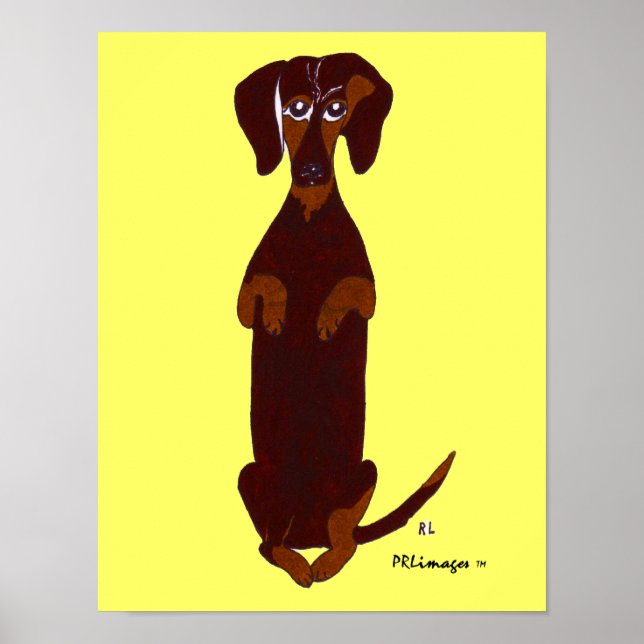 Poster Dachshund Sidney Imprimer (Devant)