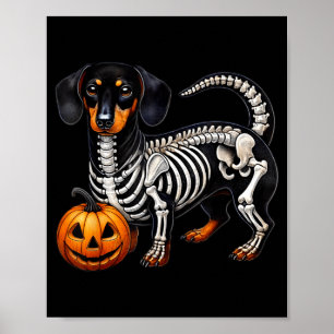 Poster Dachshund squelette Jack O Lantern Drôle de chien