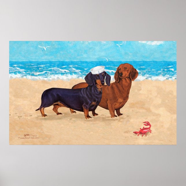 Poster Dachshunds à la plage (Devant)