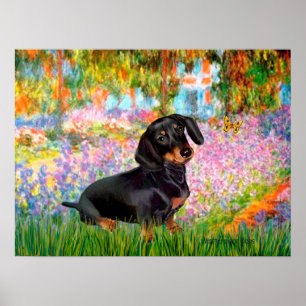 Poster Dacshund (noir et feu 16) - Jardin