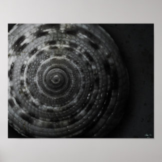 Poster d'affichage BW à cadran (avant)