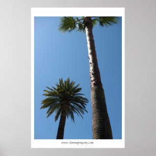 Poster d'affiche des palmiers de Californie