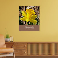 Daffodile de printemps jaune dans le jardin Nom pe