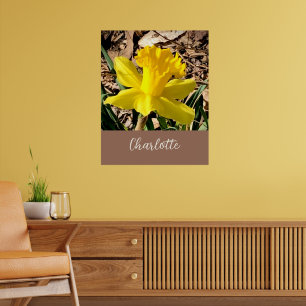 Poster Daffodile de printemps jaune dans le jardin Nom pe