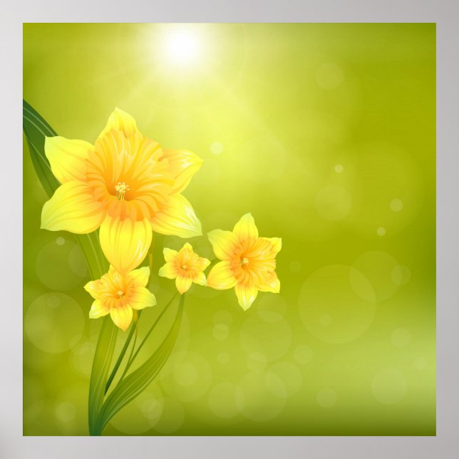 Poster Daffodiles jaunes Fleurs de printemps (Devant)