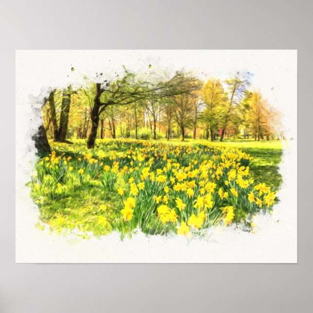 Poster Daffodiques de printemps (Devant)