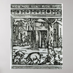 Poster d'Agriculture de théâtre et champions de DES de