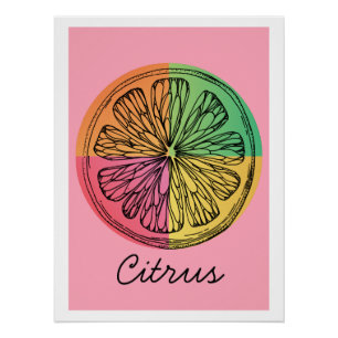 Poster d'agrumes