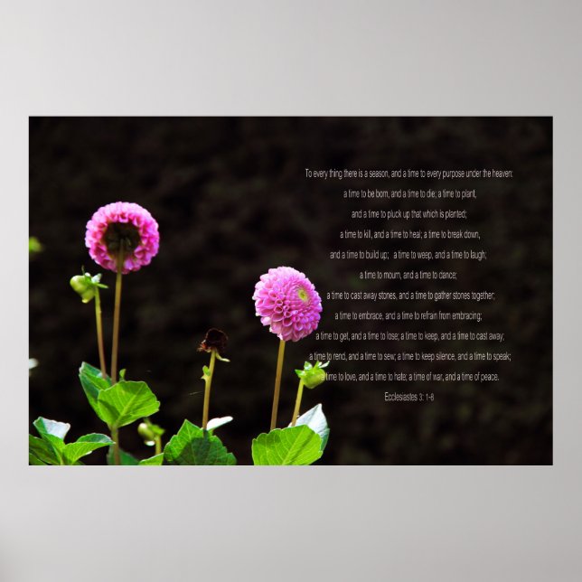 Poster Dahlia Avec Versets Ecclésiastes (Devant)