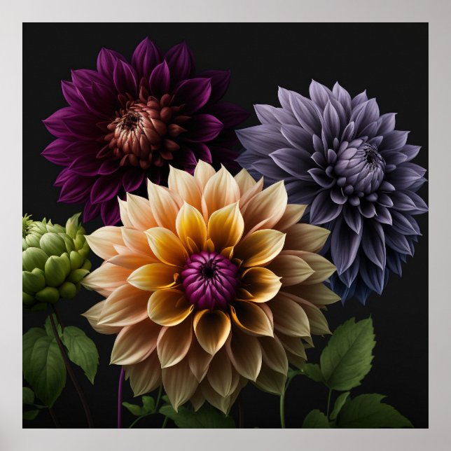 Poster Dahlia Blume (Vorne)